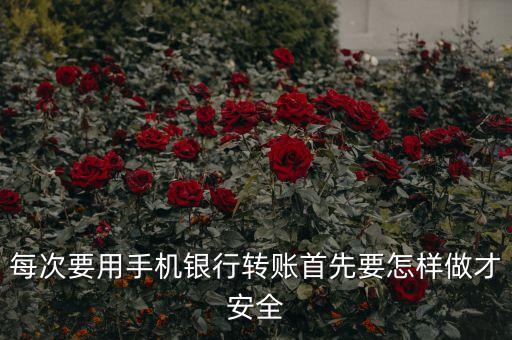 手機(jī)銀行轉(zhuǎn)賬有什么可以保護(hù)安全，手機(jī)開(kāi)了手機(jī)銀行怎么保護(hù)