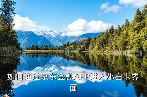 登陸京東金融后進(jìn)入什么頁(yè)面，京東金融app借錢界面在哪里啊
