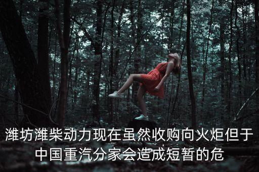重汽為什么沒有濰柴了，中國重汽還有濰柴發(fā)動機(jī)嗎