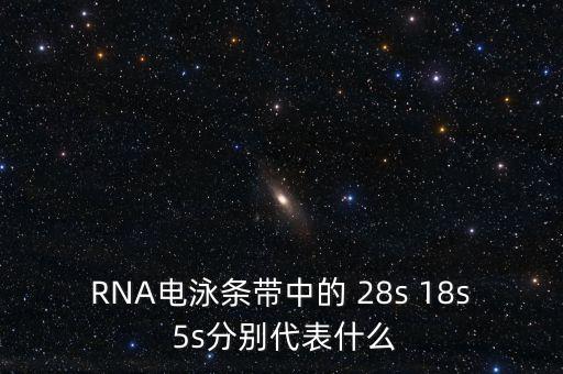 中能?chē)?guó)研是什么，在HTML中content是什么意思