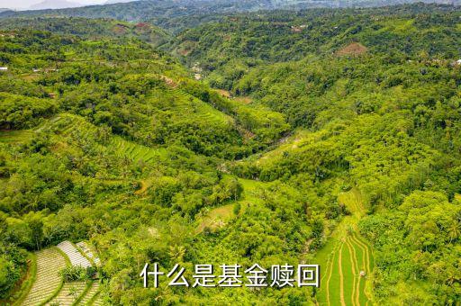 贖回基金什么意思，什么是基金的贖回