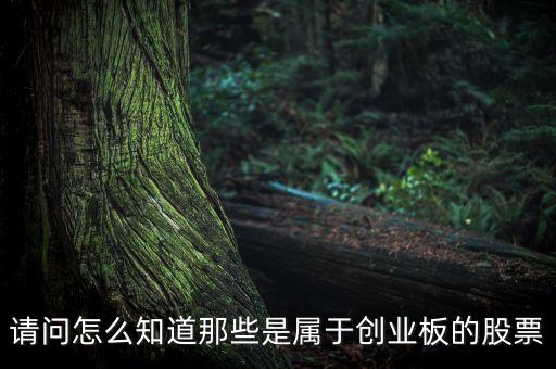 怎么知道創(chuàng)業(yè)板要出什么新股票，如何知道已經(jīng)開通創(chuàng)業(yè)板股票