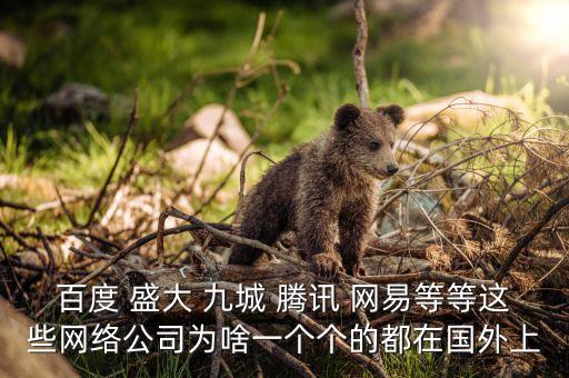 盛大為什么上市，百度 盛大 九城 騰訊 網(wǎng)易等等這些網(wǎng)絡公司為啥一個個的都在國外上