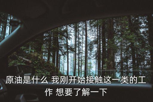 原油是什么工作，原油是什么 我剛開(kāi)始接觸這一類的工作 想要了解一下