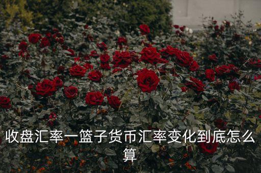 cfets貨幣籃子是什么，CF中籃子和UT代表什么