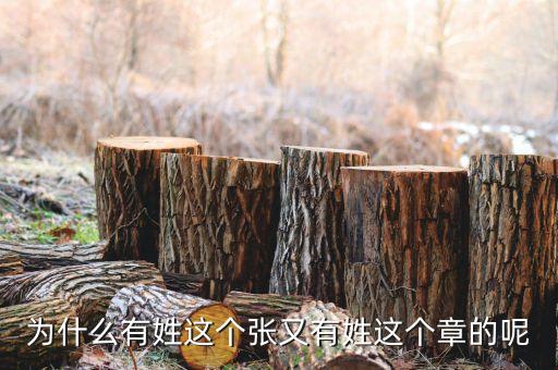 中石油黃炎什么級別，大家知道有誰姓耜