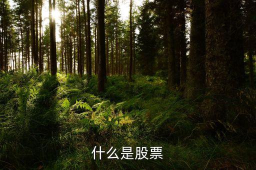 農(nóng)齡股是什么，交警隊(duì)里的交管股是什么部門(mén)為什么叫交管股