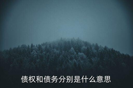 bsp票款債權(quán)是什么，銀行理財(cái)業(yè)務(wù)里面的liborbsp是什么意思