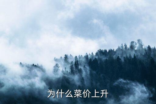 為什么菜價(jià)飛漲，菜價(jià)上漲的原因是什么