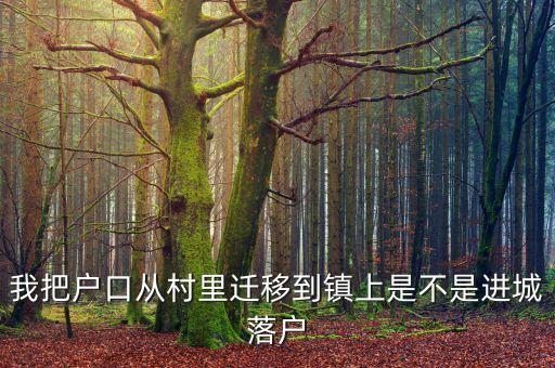 進(jìn)城落戶是什么意思，進(jìn)城務(wù)工人員隨遷子女是什么意思