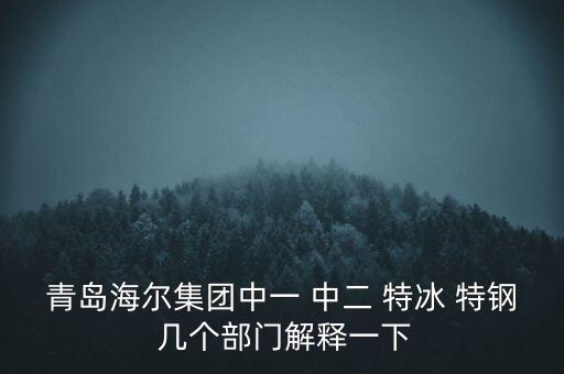 海爾內(nèi)銷是什么意思，有帶鎖的冰箱么冷藏冷凍功能都要有的謝謝