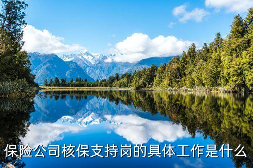 保險(xiǎn)公司核保運(yùn)營(yíng)崗需要做些什么，保險(xiǎn)公司核保支持崗的具體工作是什么