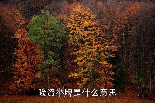 保險資金舉牌是什么意思，險資舉牌是什么意思