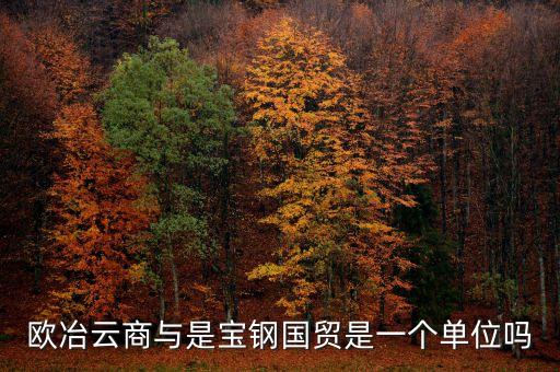 歐冶金融是什么企業(yè)，鋼鐵電商歐冶云商域名是寶鋼化還是有玄機(jī)