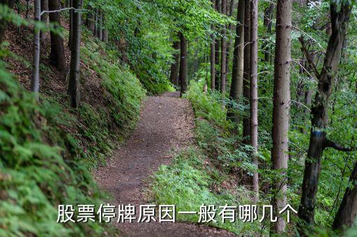 上工申貝為什么停牌，上工申貝出現(xiàn)缺口巨大后市如何