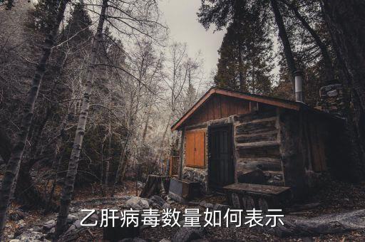 乙肝病毒20萬代表什么意思，乙肝DNA定量結(jié)果是100000是甚么意思