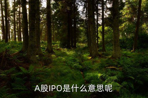 a股上市是什么意思，A股上市是什么意思 中國(guó)人保A股上