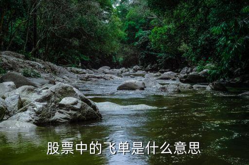 滴滴飛單是什么意思，飛單是什么意思