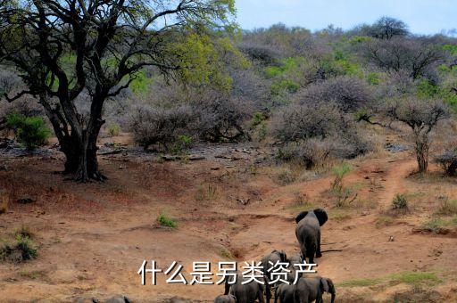 什么是另類投資，哪些項目屬于另類資產(chǎn)投資