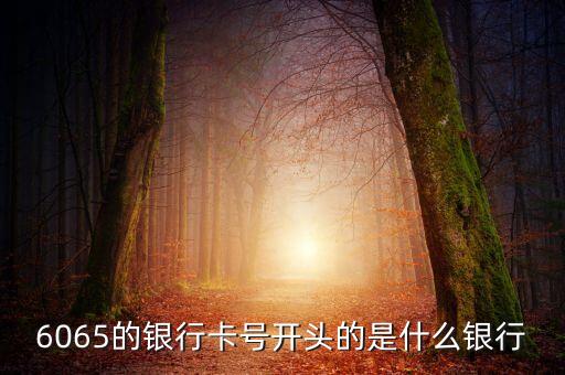 6055開頭是什么銀行，6055開頭是什么銀行的 急求