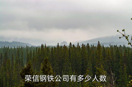 榮信電子有限公司什么時候成立，鞍山榮信電子怎么樣