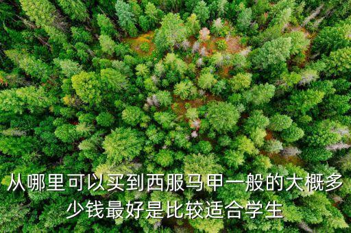 什么牌子賣西裝馬甲，什么牌子的西裝馬甲好