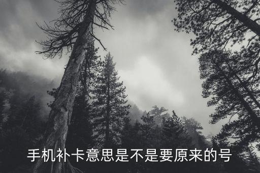 補辦電話卡什么意思，補卡 什么東東解釋一下
