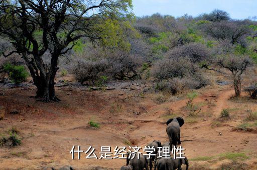 什么是市場理性，市場回歸理性是什么意思