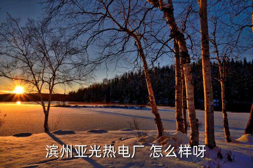 濱州亞光單位性質(zhì)是什么，濱州亞光熱電廠 怎么樣呀