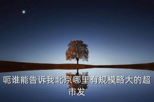 北京超市發(fā)有什么部門，呃誰能告訴我北京哪里有規(guī)模略大的超市發(fā)