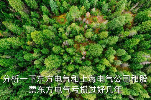 東方電氣為什么不漲，東方電氣這么好的公司為什么總是漲不上去漲不過別人呢