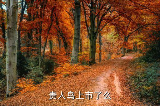 貴人鳥什么時間上市的，貴人鳥股票什么時候掛牌