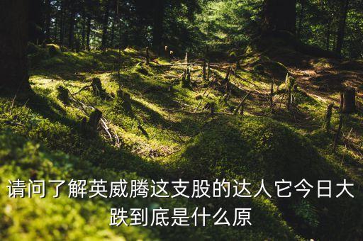 請(qǐng)問了解英威騰這支股的達(dá)人它今日大跌到底是什么原