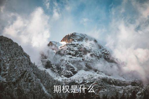 授予期權(quán)是什么意思，無(wú)償授予股票期權(quán)是什么意思