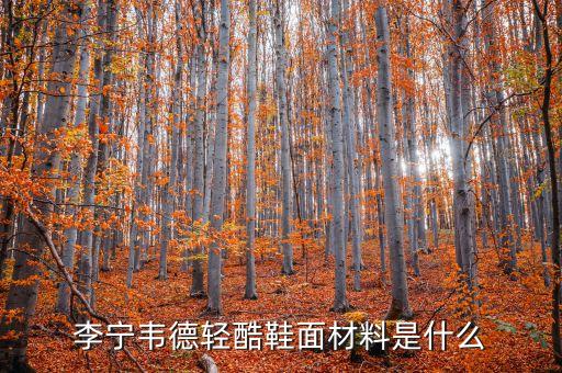 主角鋁材什么價格，沉默是金 議論文 求材料