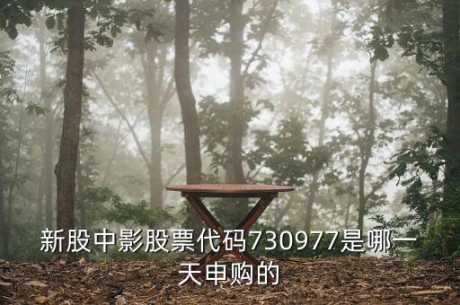 中影申購(gòu)什么時(shí)候上市，中影申購(gòu)中簽后什么時(shí)候可以賣買