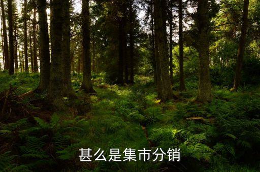 集采分銷是什么，什么是集中分銷