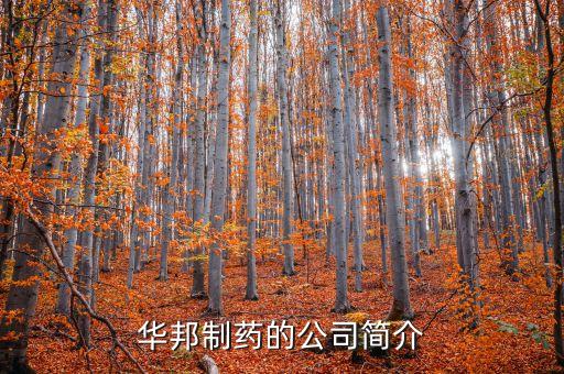 華邦制藥有什么產(chǎn)品，華邦制藥的企業(yè)理念