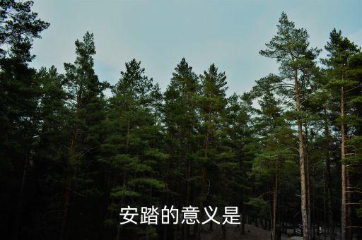 私募應(yīng)安踏在世界上有什么地位，私募在社會(huì)各界人士心目中的地位如何