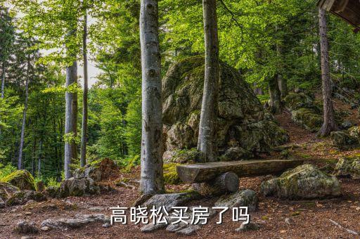 高曉松為什么不買房，高曉松買房了嗎