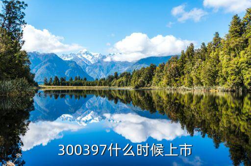 中農(nóng)立華什么時候上市，300397什么時候上市