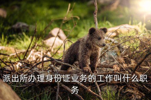 身份證歸什么管，身份證歸屬地姓名是什么