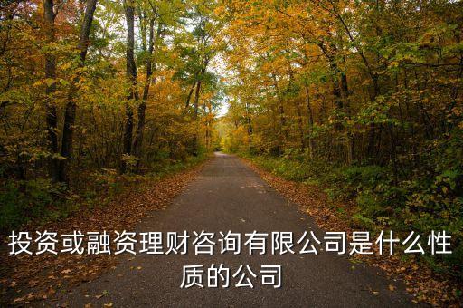 金融理財有限公司是什么性質(zhì)的，投資或融資理財咨詢有限公司是什么性質(zhì)的公司
