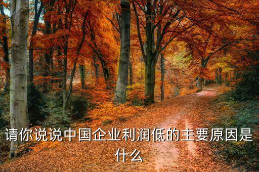 請(qǐng)你說說中國企業(yè)利潤低的主要原因是什么