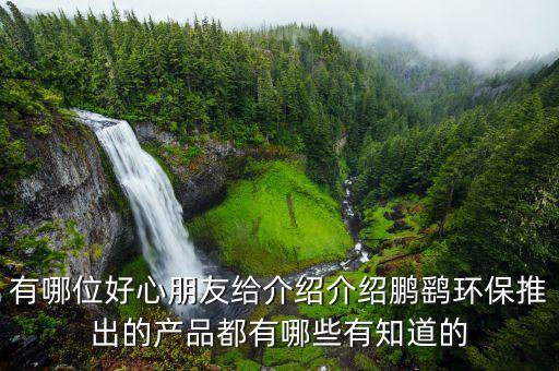 鵬鷂環(huán)保什么時候上市，我姑姑很想要了解鵬鷂環(huán)保推出的產(chǎn)品都有哪些有知道的么