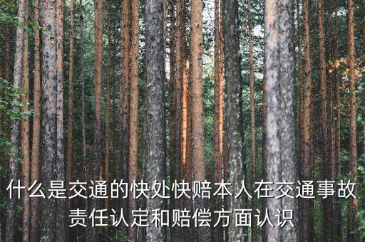 車險(xiǎn)快賠是什么，汽車快賠是什么意思