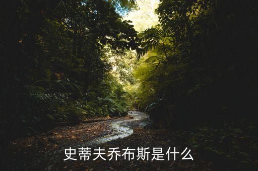 喬布斯是做什么的，喬布斯是什么