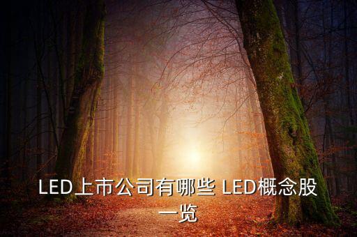 上市公司鴻什么視訊，視訊行業(yè)有哪些公司