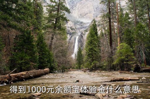 1000余額寶體驗金是什么，得到1000元余額寶體驗金什么意思