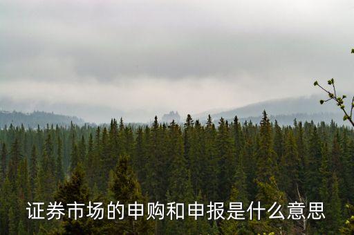 金融行業(yè)中的逐日申報(bào)是什么意思，外貿(mào)中到到銀行申報(bào)是什么意思申報(bào)什么呢哪位高人指點(diǎn)一下謝